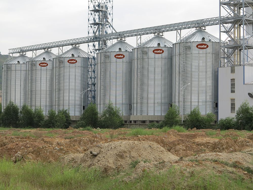Elevatör